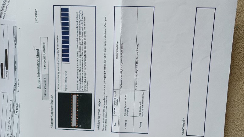 Leaf Tekna 2020 Service Records (8)